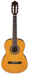 Ibanez GA2 3/4 Size Classical Acoustic Guitar